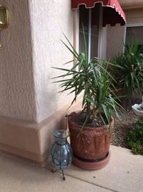 Oversized vase on stand and potted plant 
