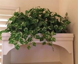 1 of several silk plants