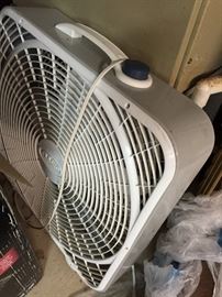 Fan