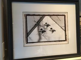 Photograph - DiNardo limited edition