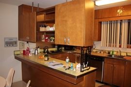 Kitchen Cabinets and 50s Counter Top