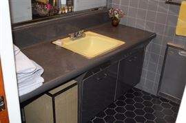 Bathroom Counter/Cabinet & Sink