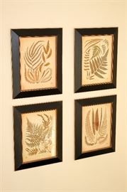 Framed fern prints