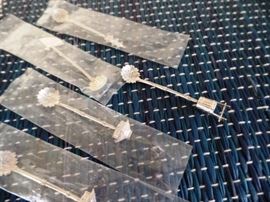 Asian Sterling Wasabi spoons