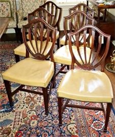 Six Shield Back Chairs