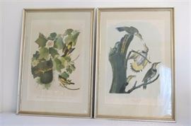 Two Audubon Double Elephant Folio Birds