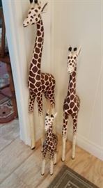 Darling Giraffes