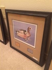 One of four framed duck/stamp pictures (50th anniversary)