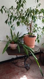 End Table & Plants