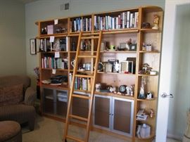 WONDERFUL BOOK CASE WITH LIBRARY LADDER