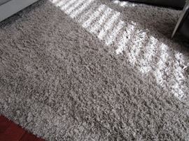 ROOM SIZED SHAG RUG