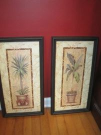 Pair of framed tropical plants