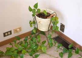 Houseplant & Mod Planter