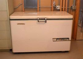Vintage Chest Freezer