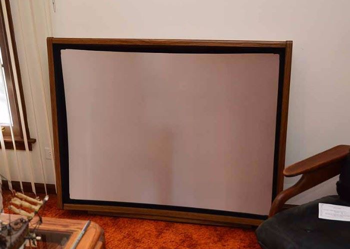 Screen for the Vintage Mitsubishi Projection TV