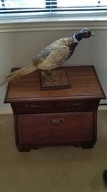 Another Pheasant Taxidermy