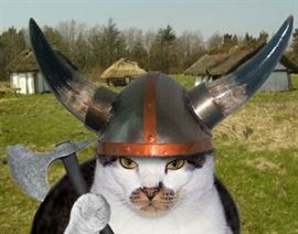 vikingcats