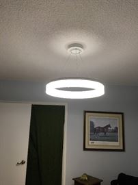 Circle hanging light