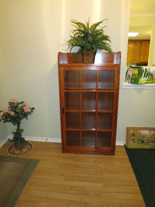 Enclosed Bookshelves
