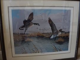 Water fowl print