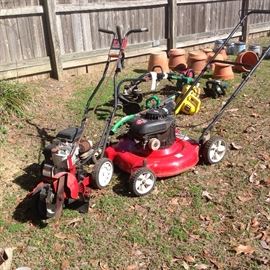 Electric push mower and gasoline edger