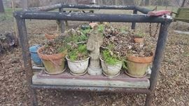Assorted Potted Plants
