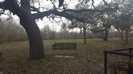 Wooden Oak Tree Swing