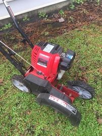Gas powered edger 