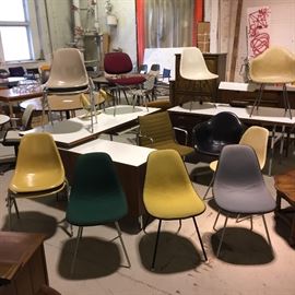 Herman Is In The Building