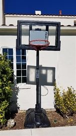RBK Basketball Hoop - $125