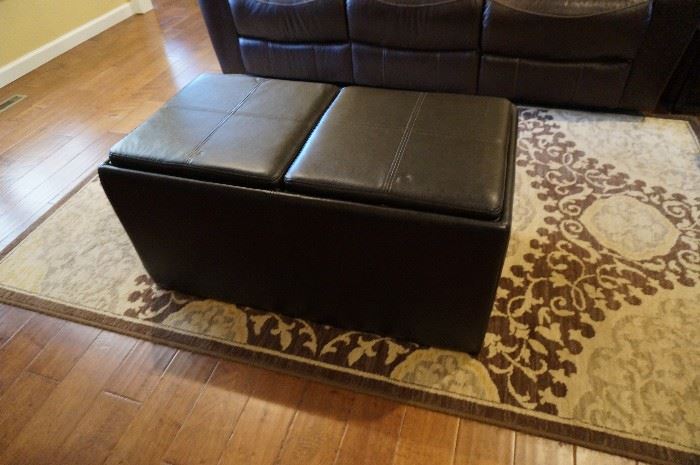 Storage, leather, coffee table (top pieces can be used for serving trays, area rug