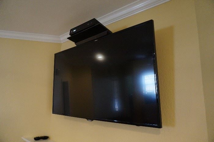 Samsung 55" Flat screen television and wall mount