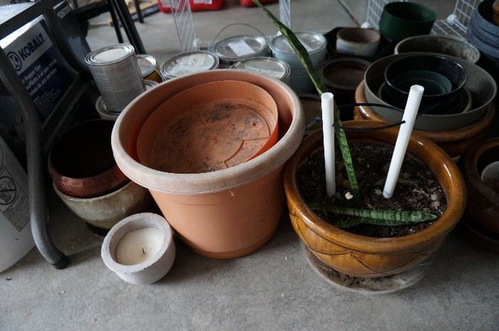 pot for plants