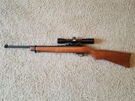 Ruger 10/22
