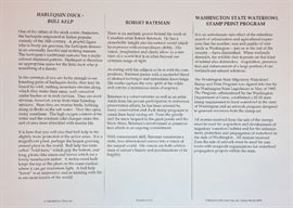 Harlequin Duck, Bull Kelp. 1988 Washington State Waterfowl Stamp Print Program