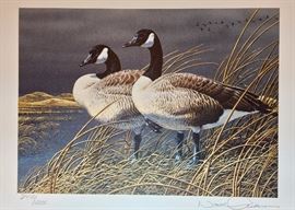 Signed/numbered print: The 1991 First of State Nebraska Duck Stamp Print by Neal R. Anderson.