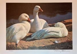 Signed/numbered: 1992 "Settlin'' in" Snow Geese by Nancy Howe. Conservation Stamp and Print of the National Wildlife Foundation. 