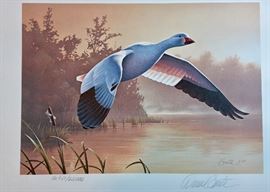 Signed/numbered print by Daniel Smith, stamp included. "Snow Goose".
