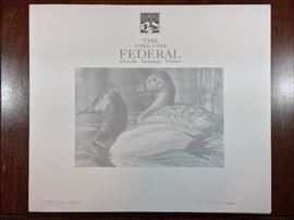Signed/numbered print with signed stamp. Bruce Miller, 1993-1994 Federal Duck Stamp Program. 