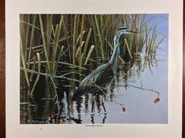 Great Blue Heron