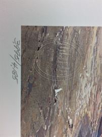 Signed/numbered/seal, The First Official National Park Stamp Print. 1988 Passing Showers - Yellowstone by Michael Coleman.