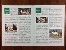 Signed/numbered/signed stamp, 1994-95 Federal stamp. print by Neal R. Anderson