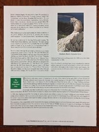 Signed/numbered/signed stamp, 1994-95 Federal stamp. print by Neal R. Anderson