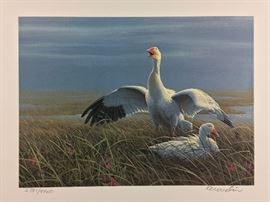 Signed/numbered/signed stamp. 1989 Wildlife Habitat Canada Conservation Stamp & Print. Artist: Jean -Luc Grondin.