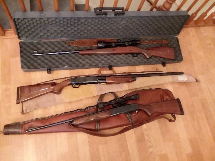 Hunting Guns