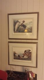 Havell Audubons see closeup pictures