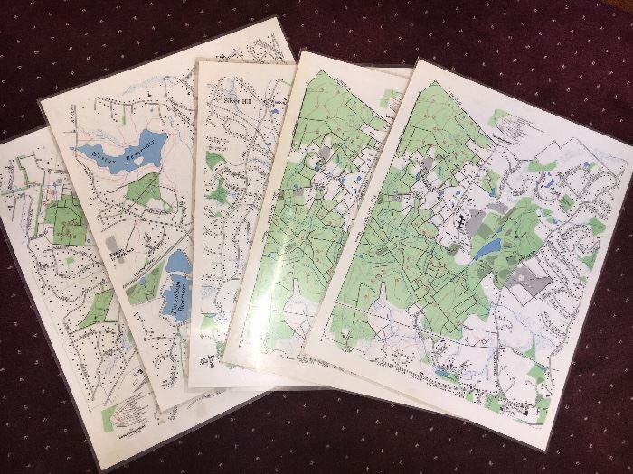 These are neat! Poster sized trail maps of Weston, MA