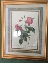 Different set of (2) botanicals