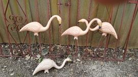 Flamingoes!
