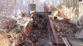 Interior or Greenhouse